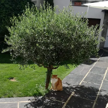 Alojamento de Acomodação e Pequeno-almoço La Maison Carolane